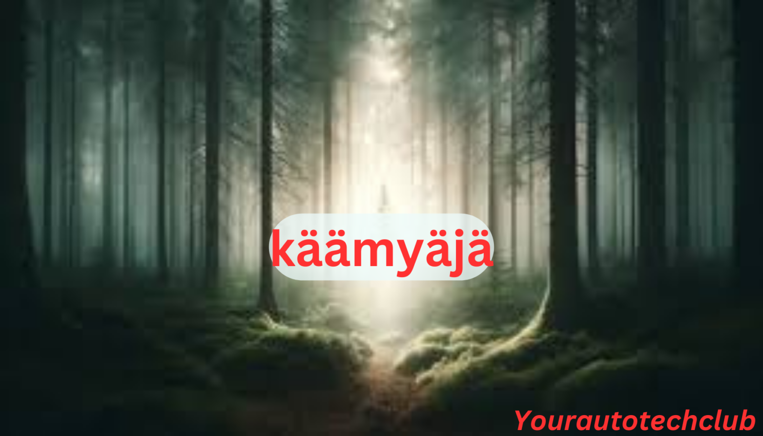 Käämyäjä