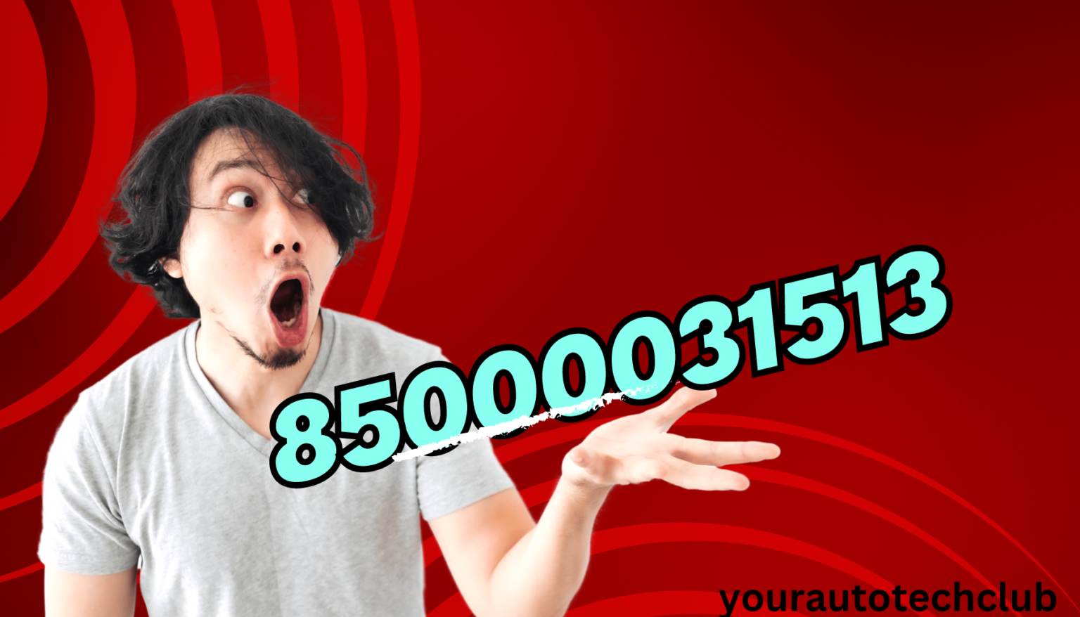 85000031513